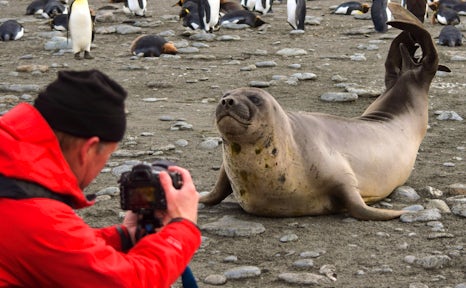 Photography in Antarctica