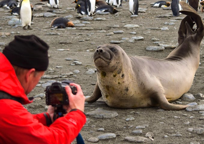 Photography Tours South Georgia