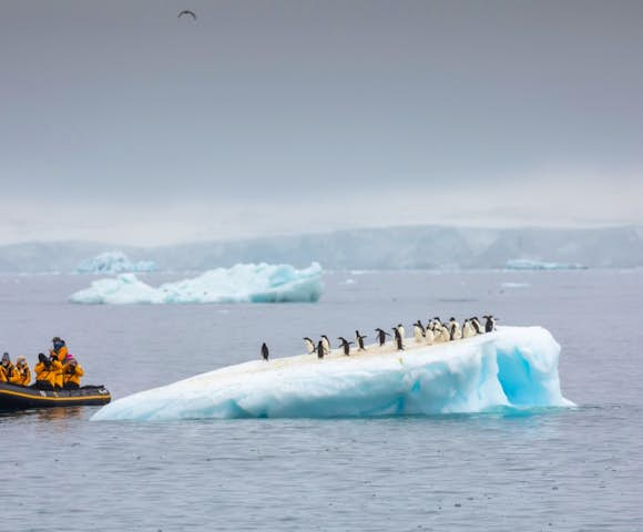 Zodiac trip from Ultramarine Antarctic vessel in Antarctica