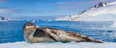 Antarctic Circle Odyssey