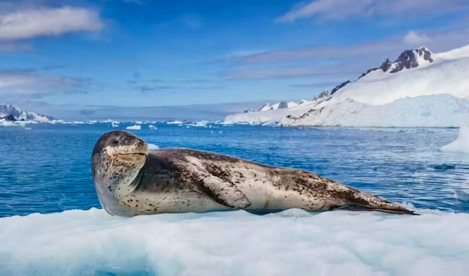 Antarctic Circle Odyssey