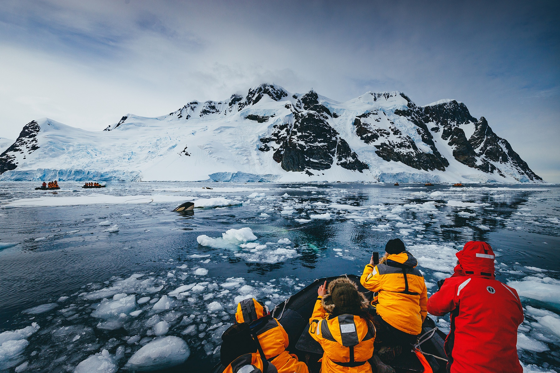Passengers in a boat photograph an orca in Antarctica 