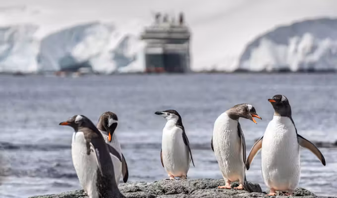 Elegant Falklands, South Georgia & Antarctica