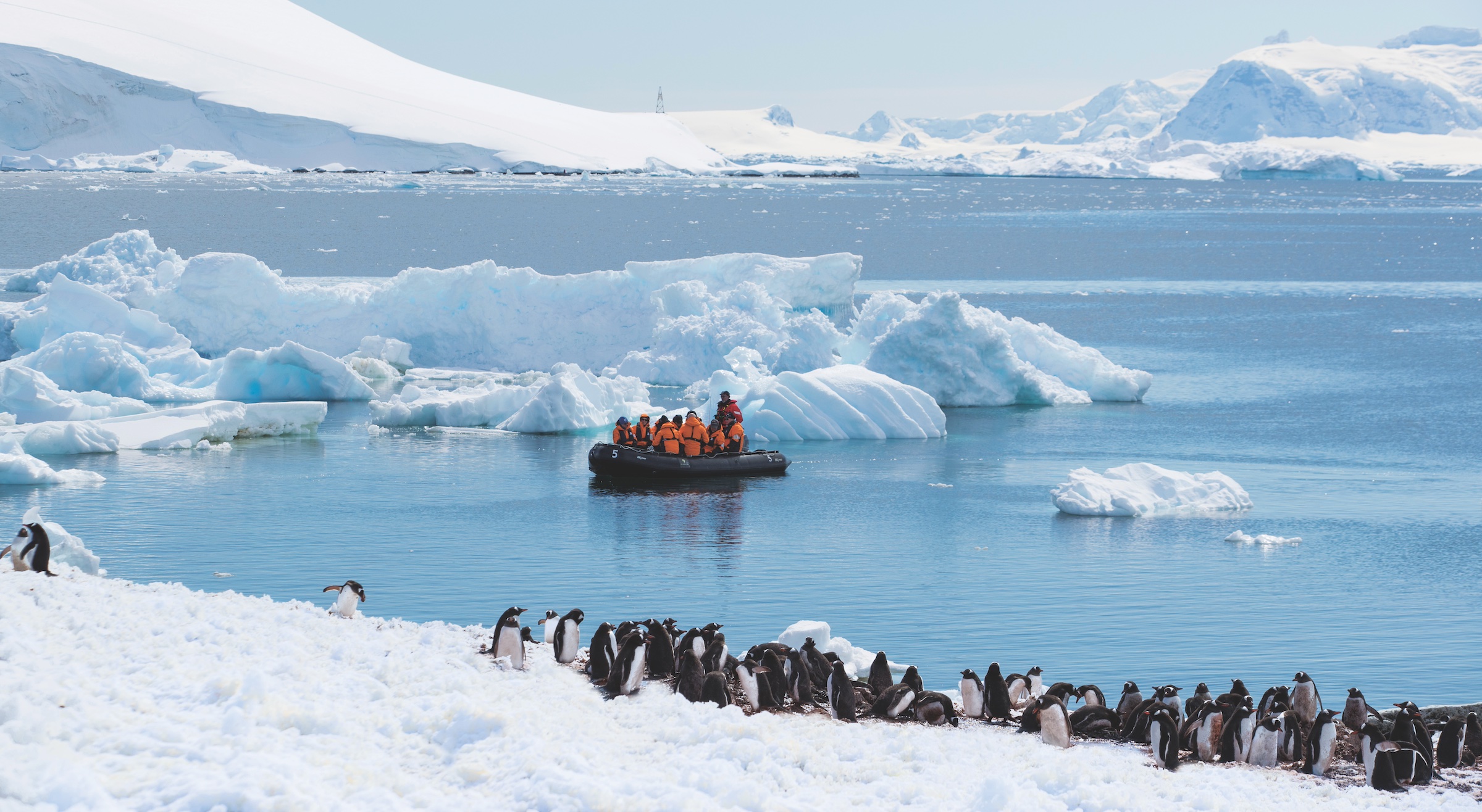 Travellers cruise past a penguin rookery in a zodiac boat in an Antarctic bay 