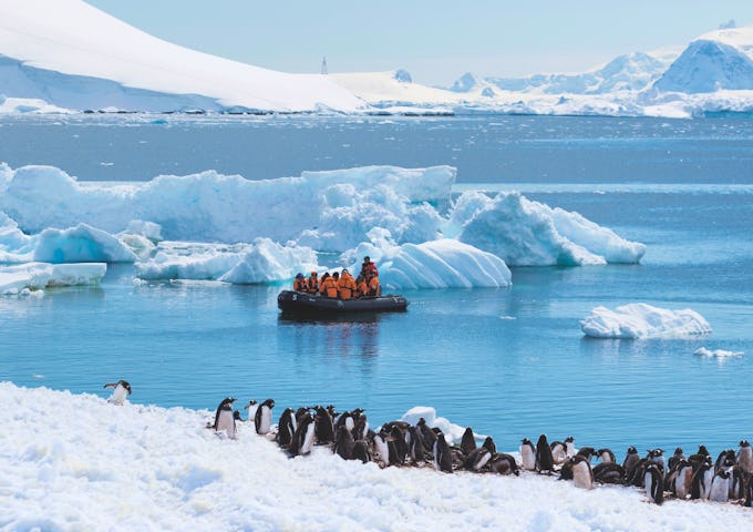 Travellers cruise past a penguin rookery in a zodiac boat in an Antarctic bay