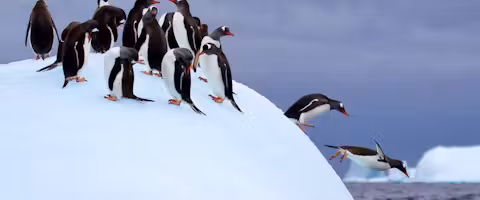 Antarctic Explorer