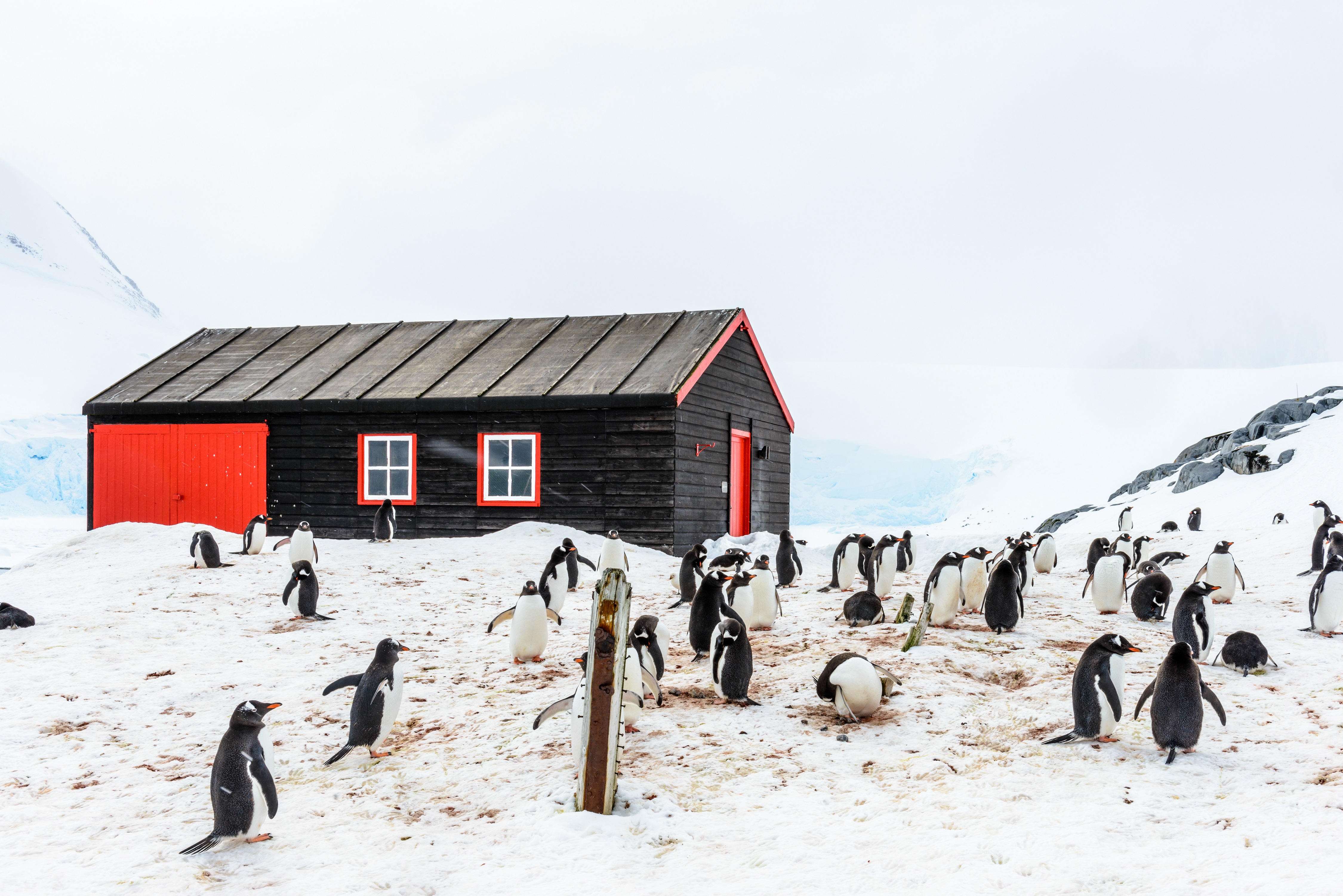 Many Antarctica cruises visit Port Lockroy aka 'The Penguin Post Office'