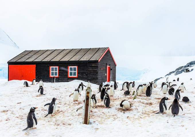 Many Antarctica cruises visit Port Lockroy aka 'The Penguin Post Office'