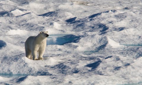 Explore the land of the Midnight Sun