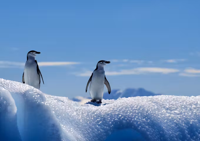 Antarctic Peninsula Cruises