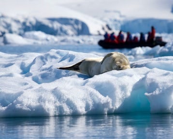 Fly To Antarctica & Cruise Back