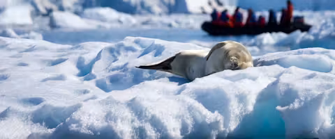 Crossing the Antarctic Circle