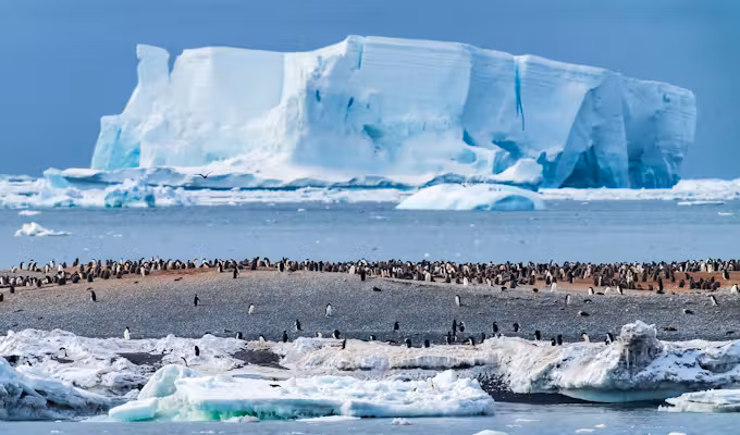Ross Sea & Subantarctic Islands Explorer