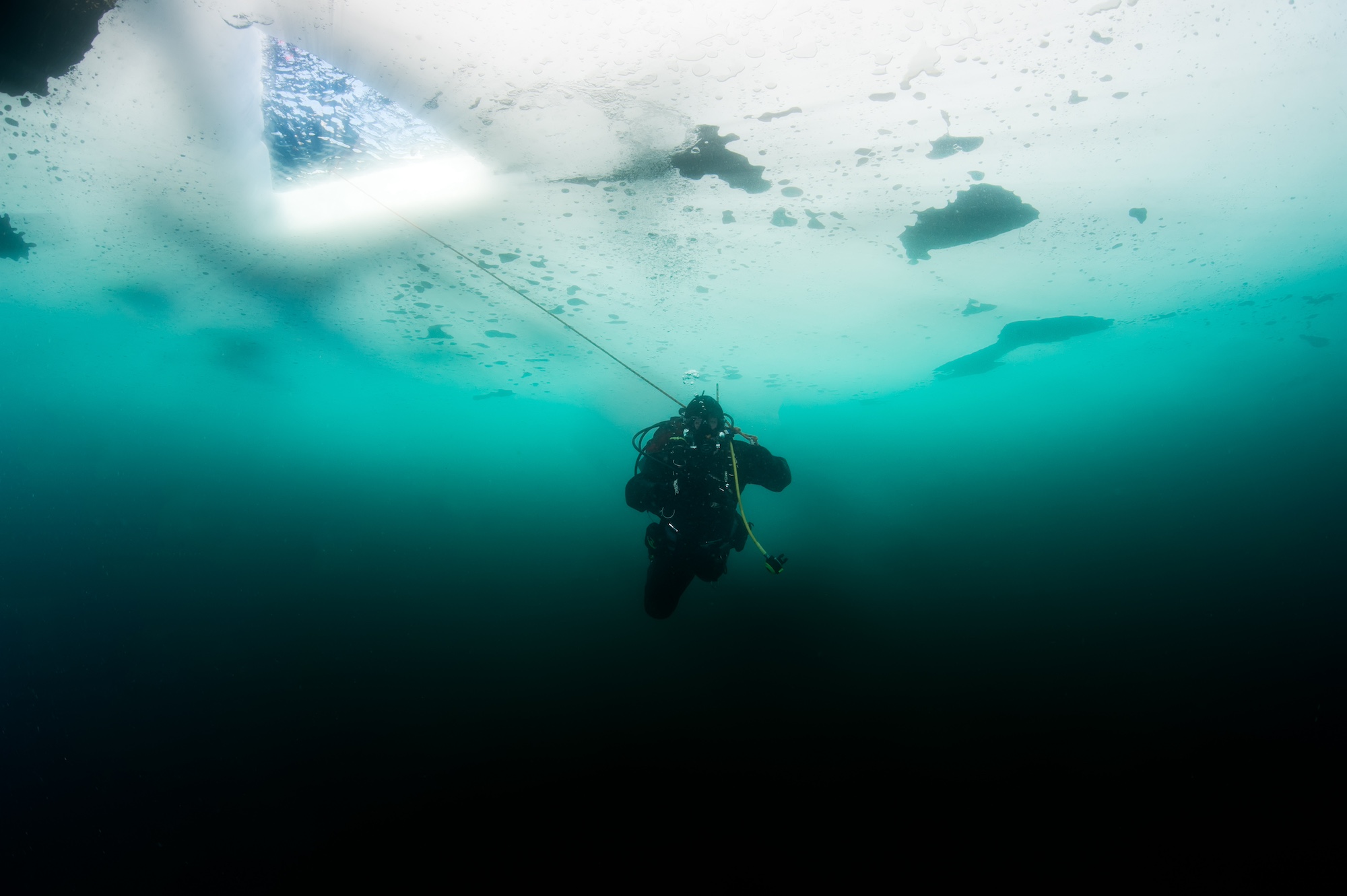 Scuba diver under the ice Antarctica
