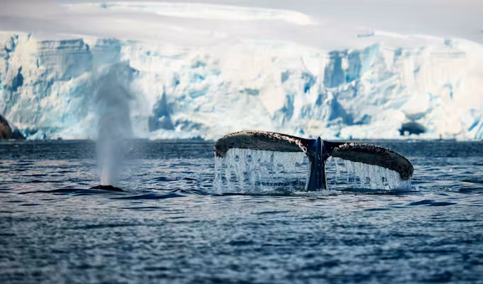 Quintessential Antarctic Luxury Fly & Cruise
