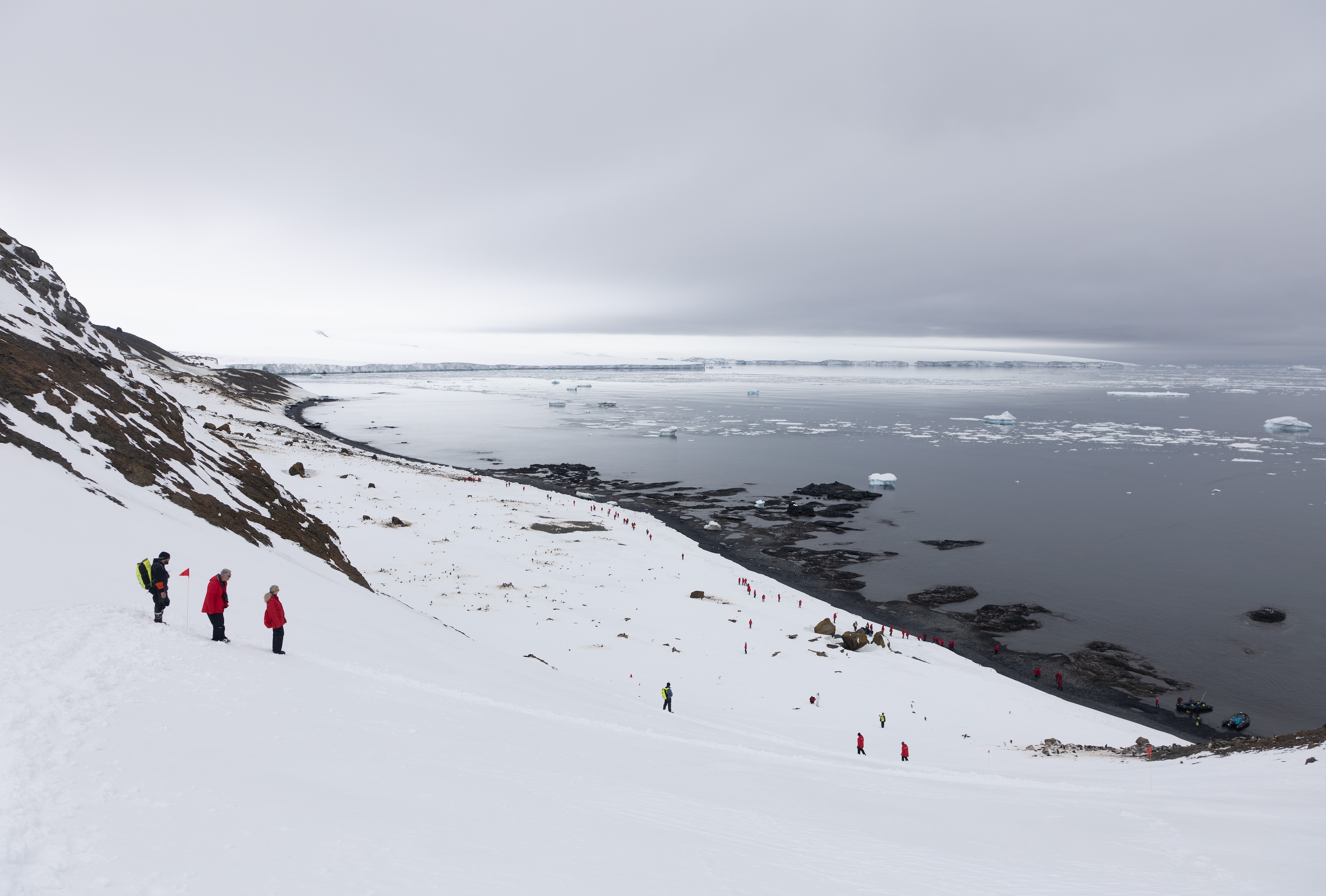 Passengers walk across Brown Bluff in Antarctica