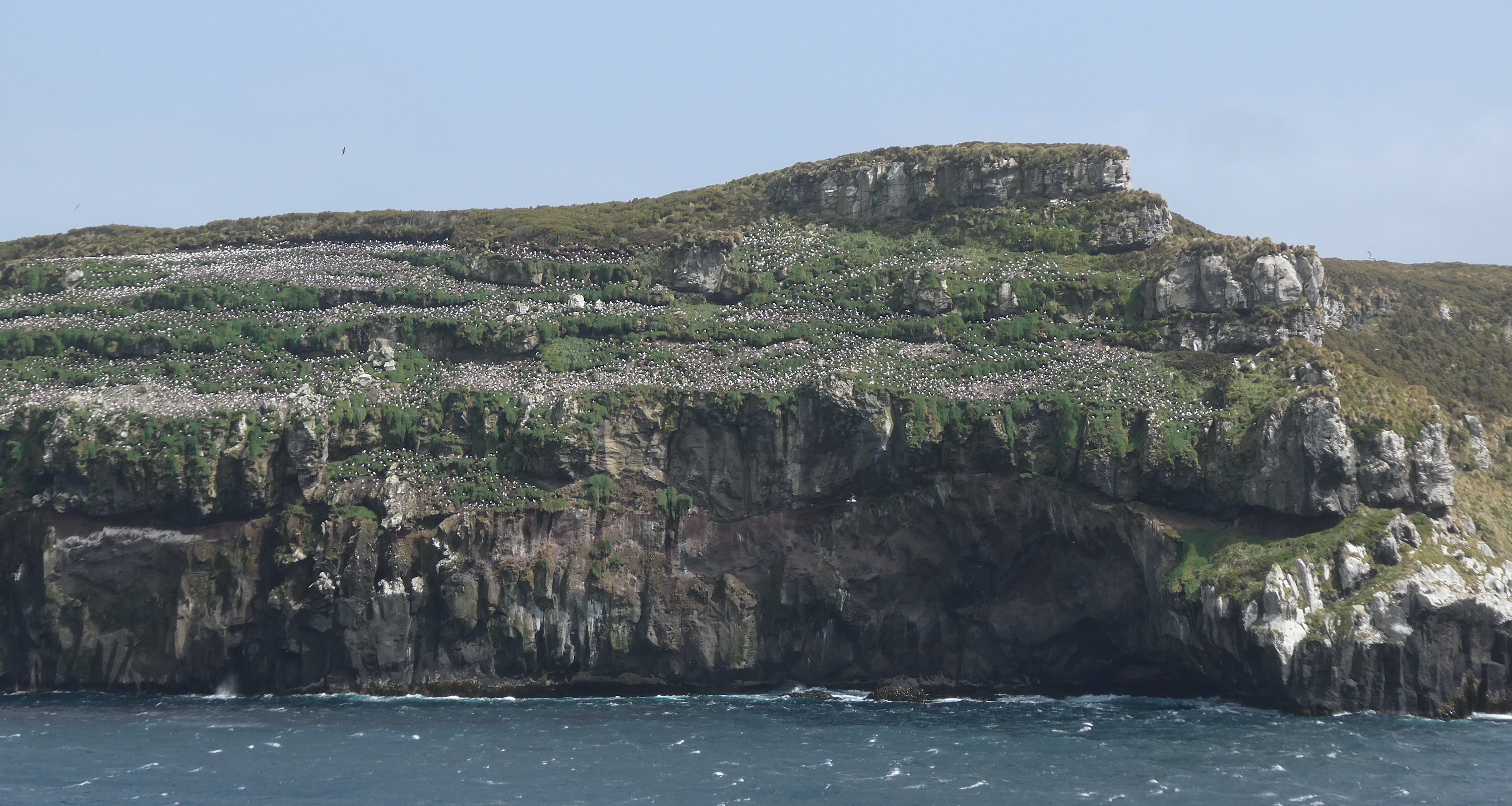 Subantarctic Islands