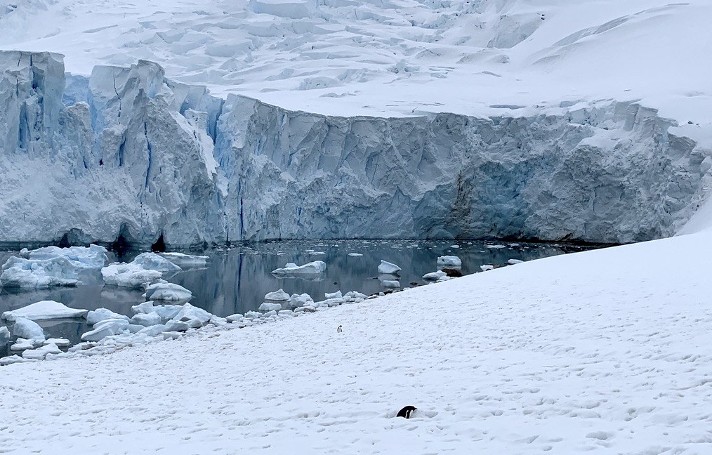 Antarctic ice