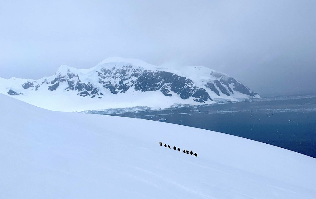Hikers trudge up a hill in Antarctica