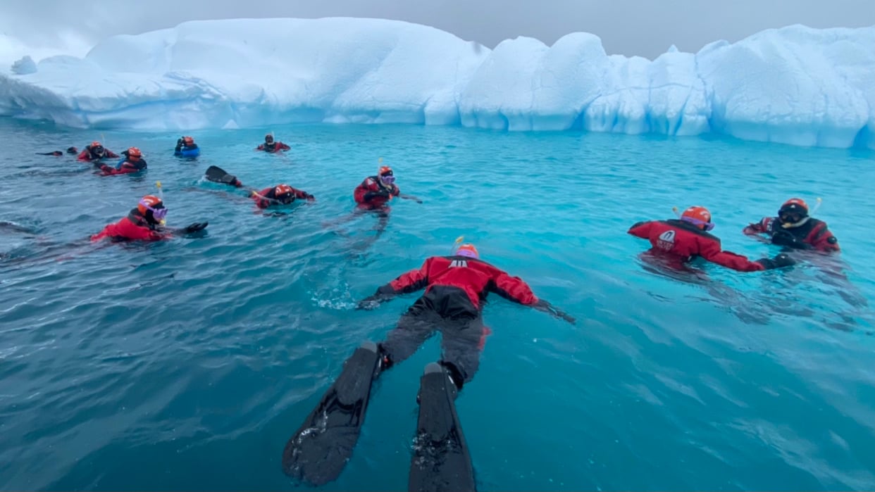 Snorkellers snorkel near an iceberg 