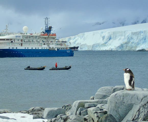 Gentoo penguin in front of Sea Spirit, Antarctic vessel