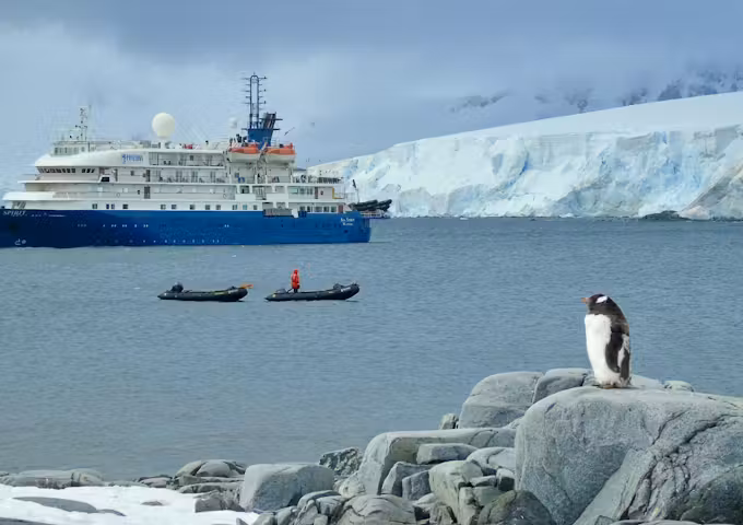 Gentoo penguin in front of Sea Spirit, Antarctic vessel