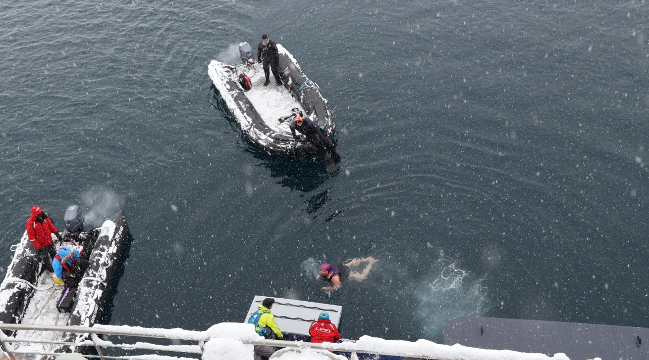A woman does the polar plunge in Antarctica 