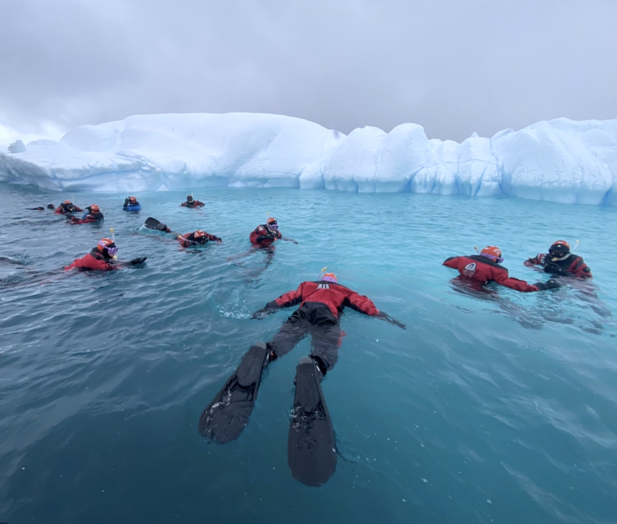 Group of tourists snorkelling with ice in Antarctica