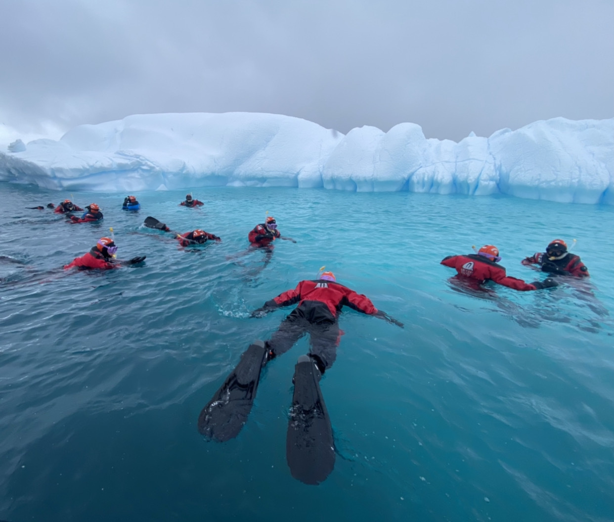 A group fo tourists snorkel amid the ice in Antarctica
