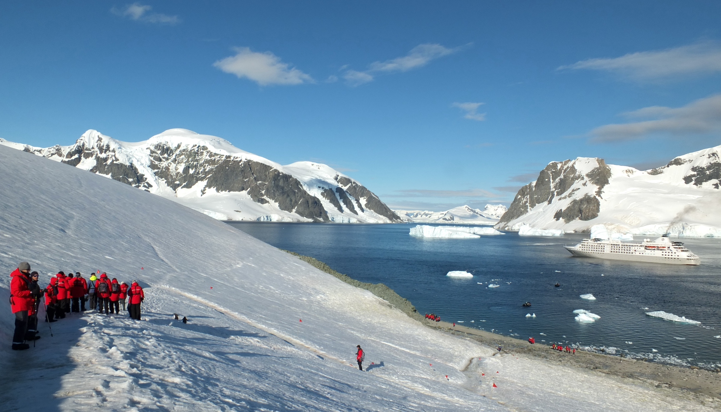 Cruise guests land at Danco Island and explore on foot 
