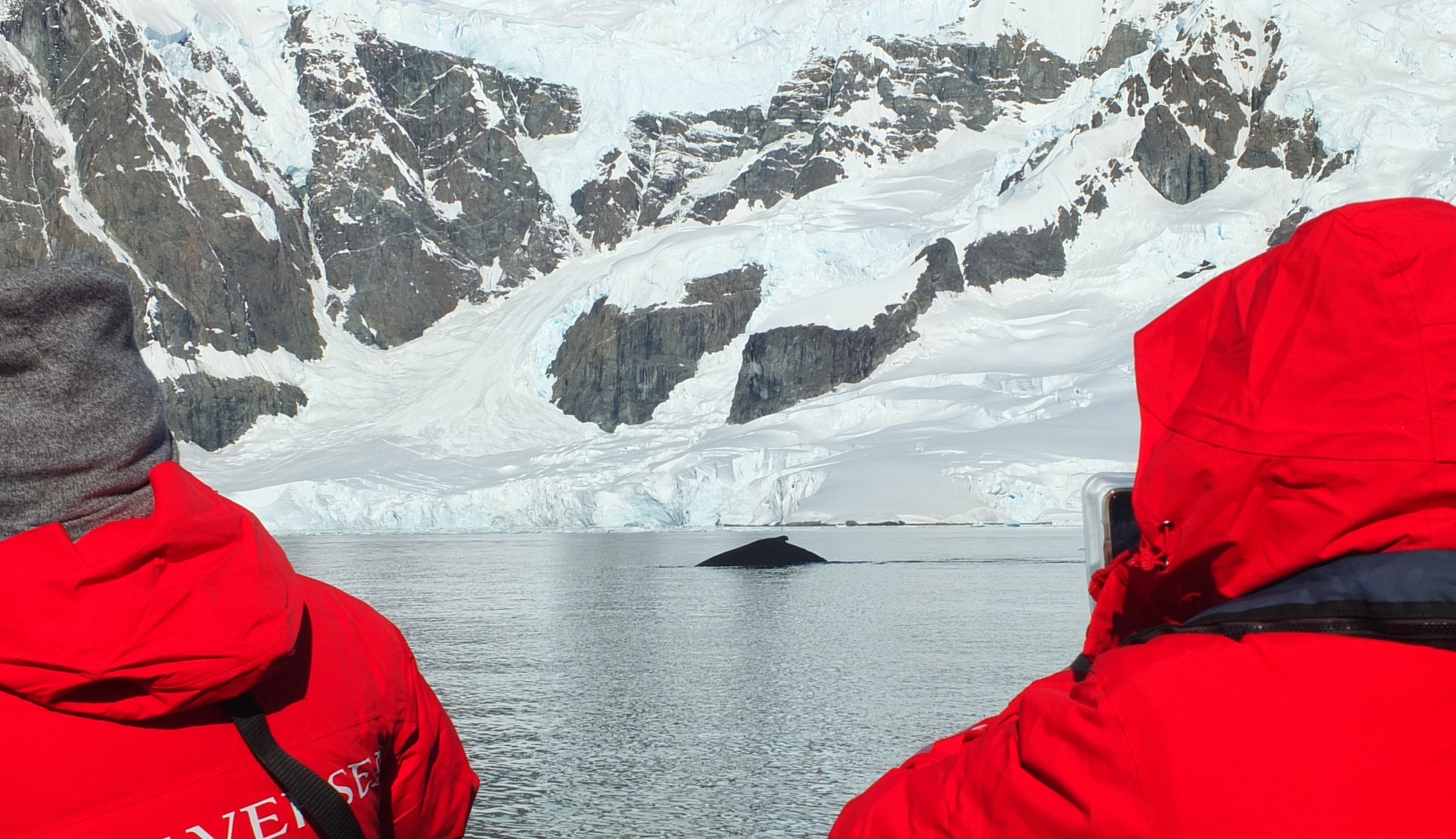 Two expedition cruise guests in Antarctica spot a whale in the distance