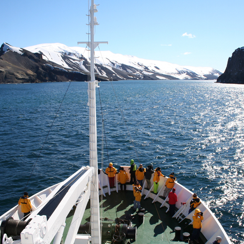 How Can Swoop Antarctica Help You?