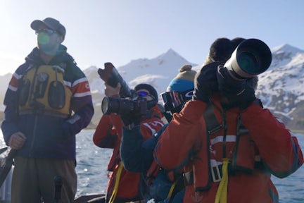 Zodiac photography in South Georgia