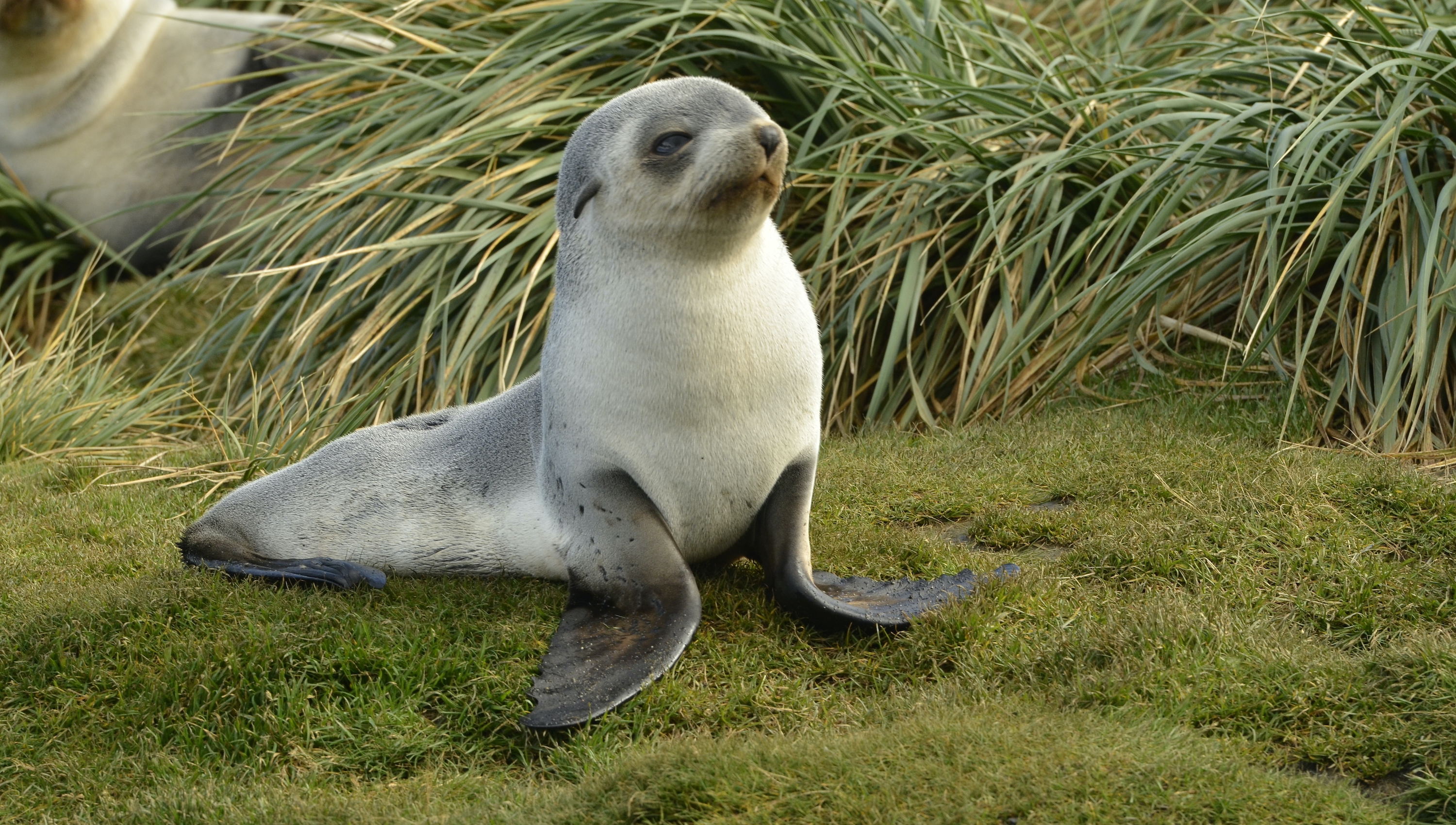 When to go to Antarctica