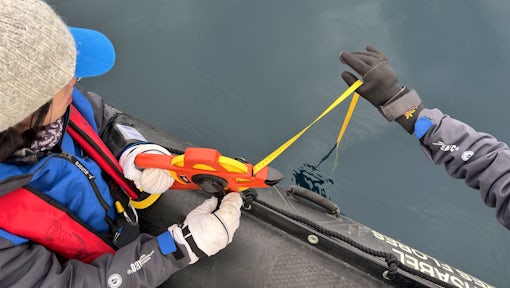 Taking part in citizen science on an Antarctic recce