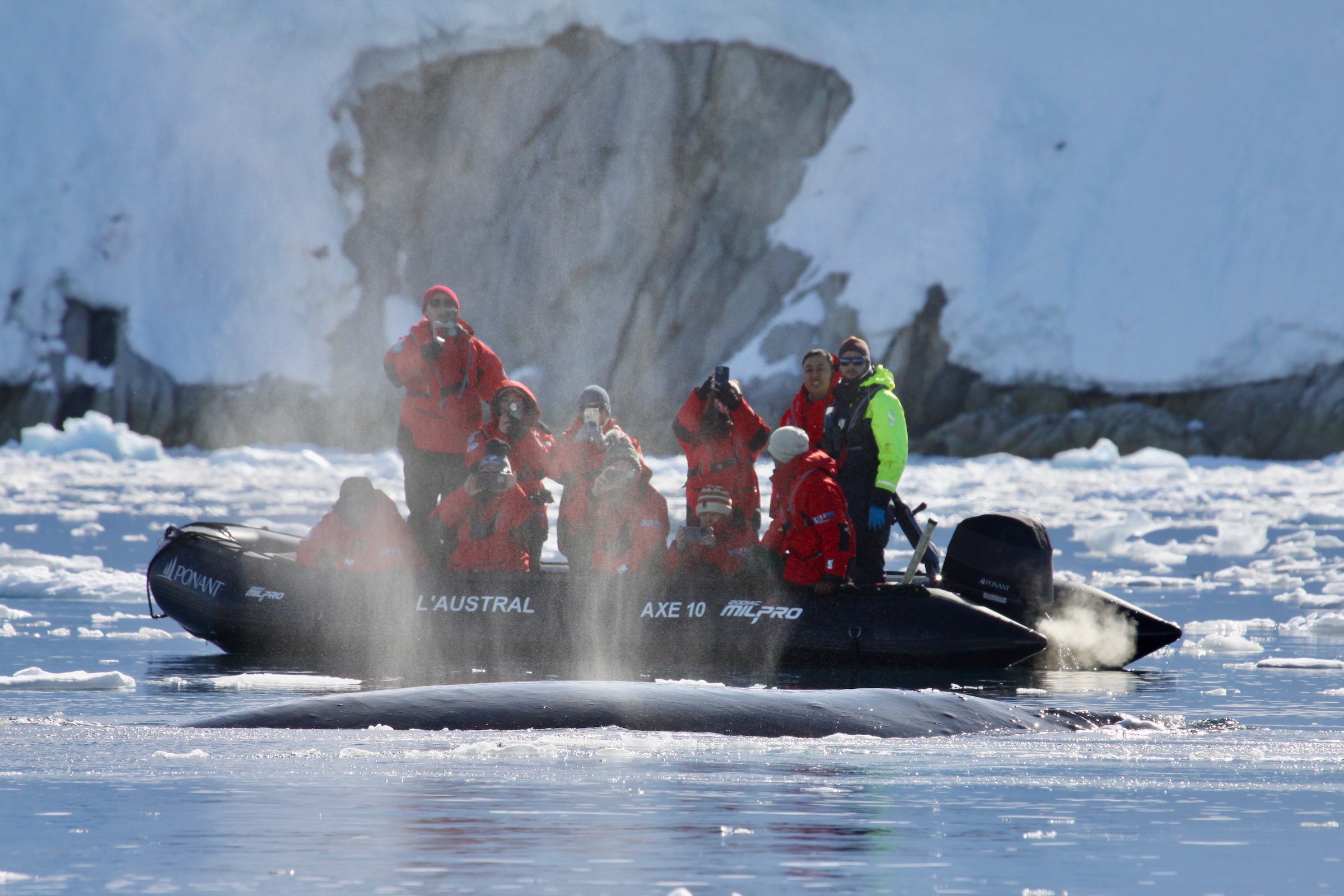 Whale watching from a zodiac in Antarctica