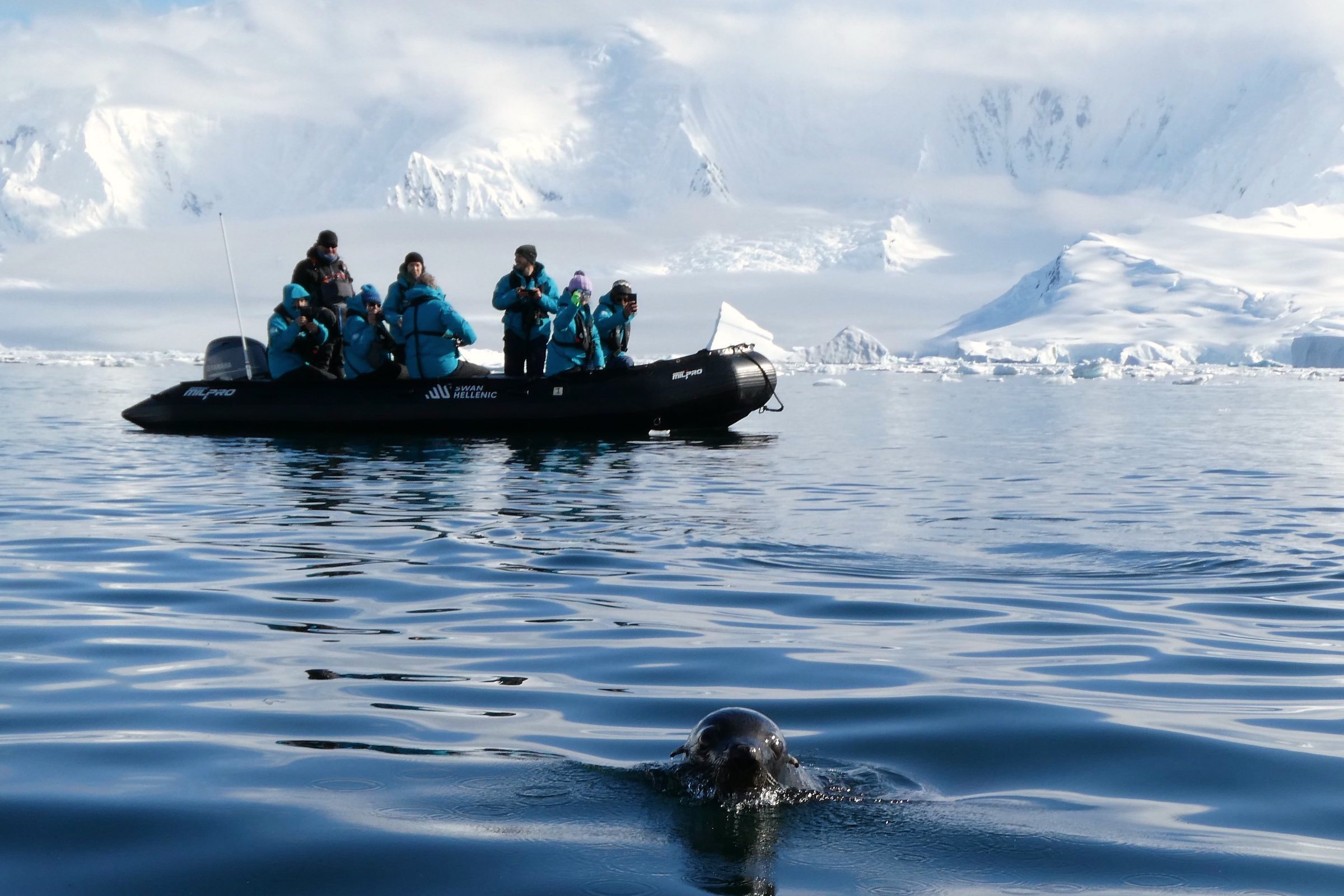 Fur seal and zodiac in Antarctica