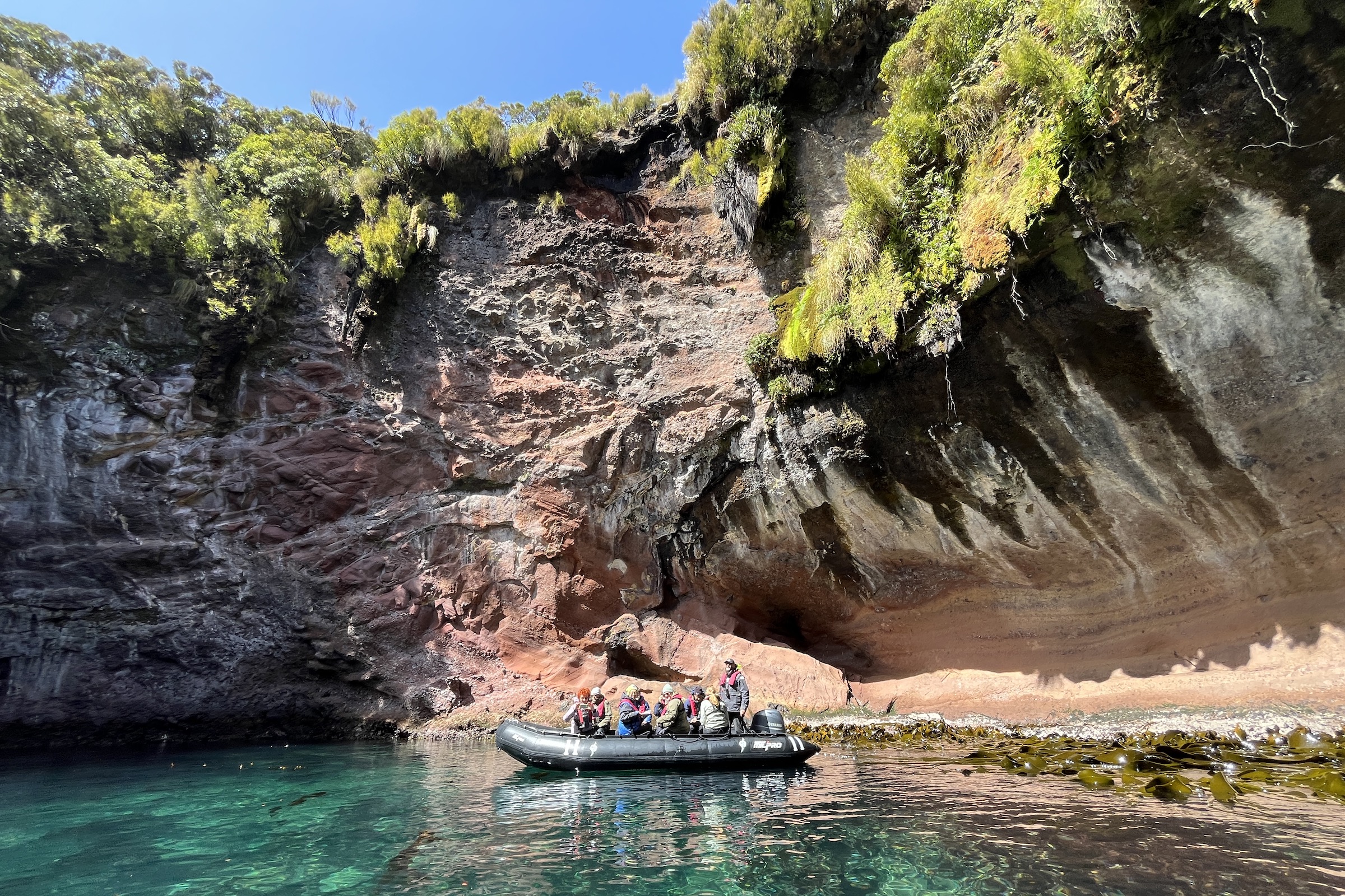 Zodiac cruising at the Auckland Islands, New Zealand's subantarctic islands