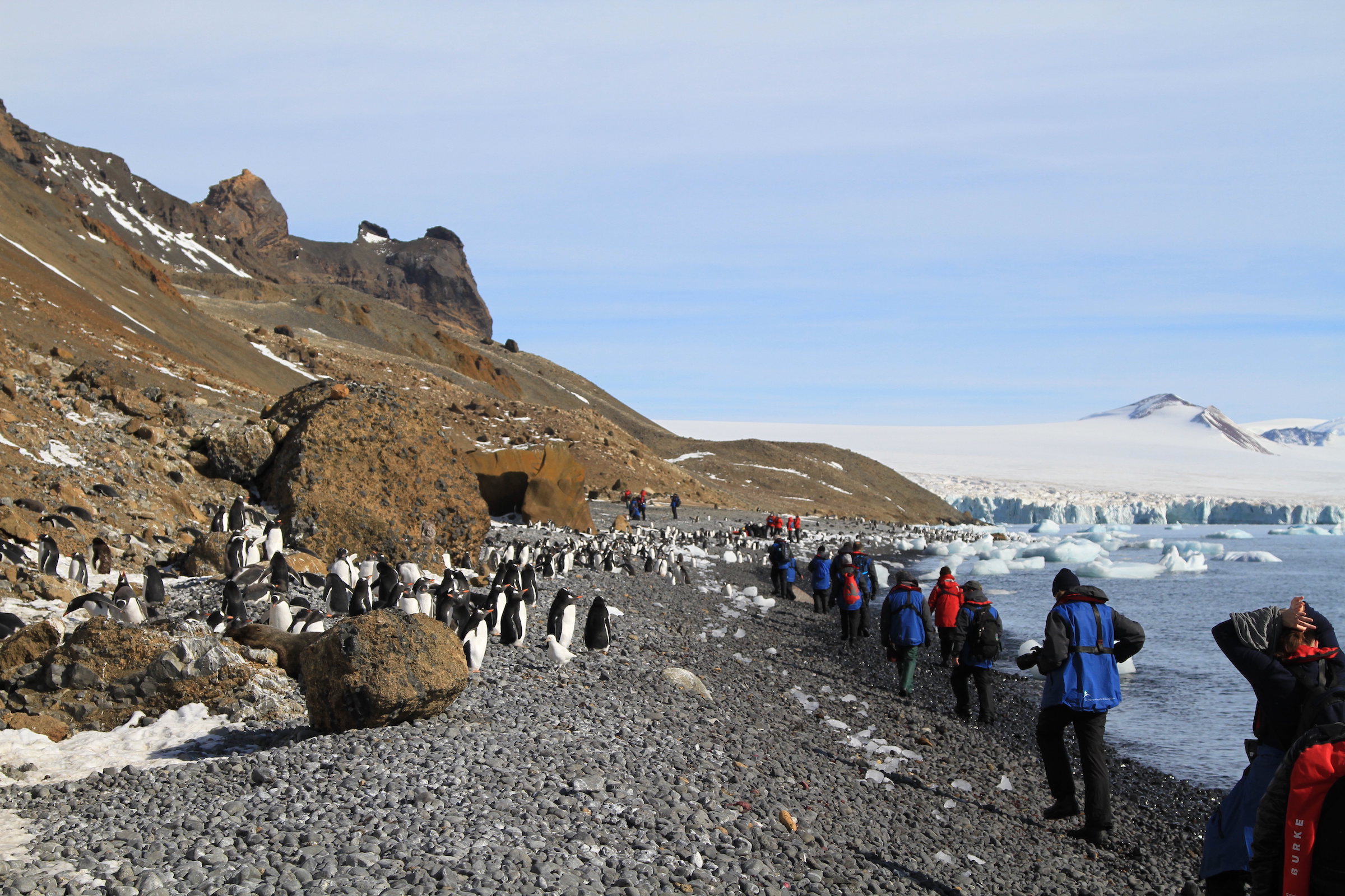 Antarctic landing in a gentoo penguin colony maintaining strict IAATO guidelines