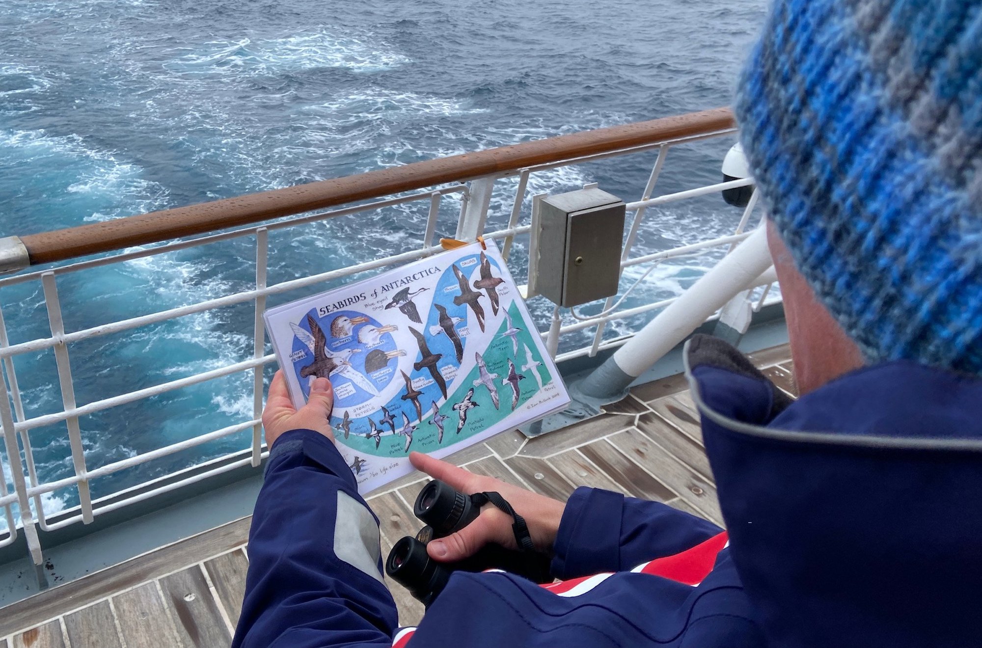 Tourist participating in the Southern Ocean Seabird Survey for citizen science