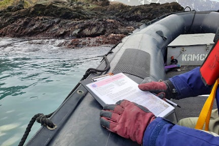 Citizen Science Big Seaweed Survey being done in South Georgia