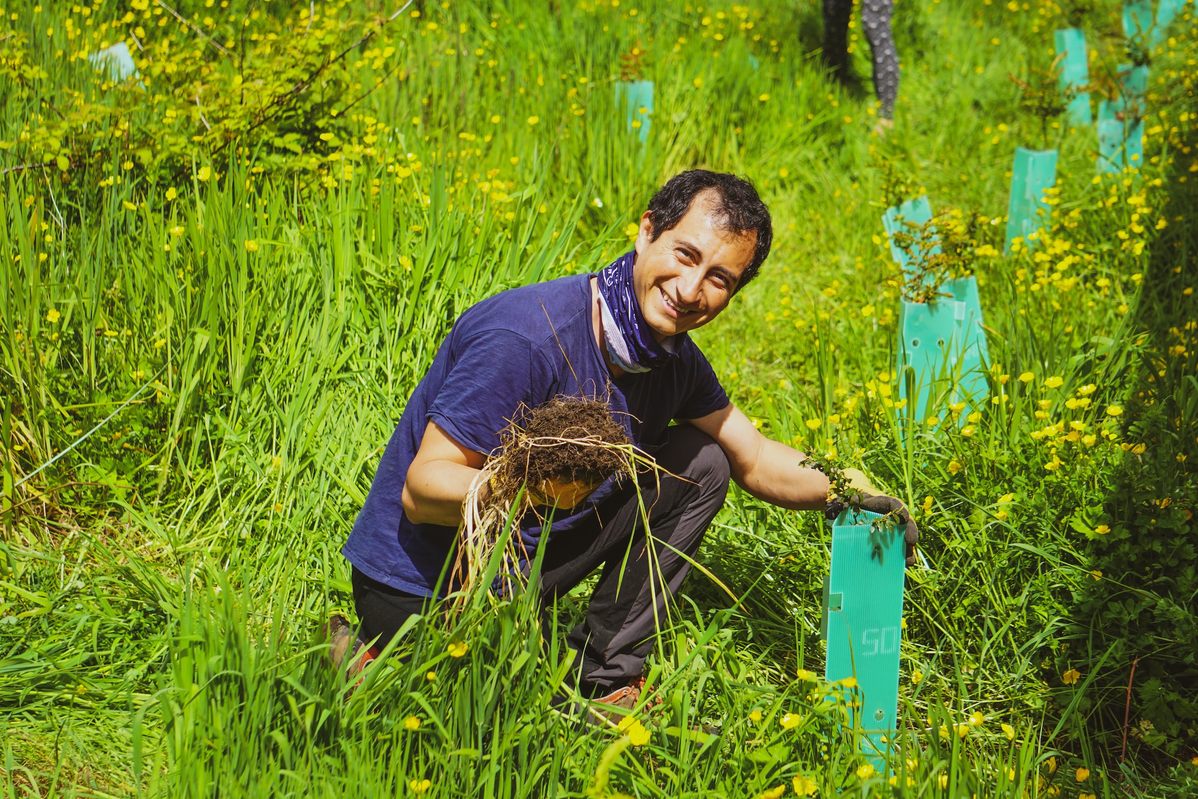 A person on a rewilding project with Legado Chile