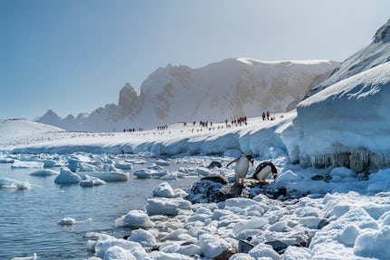 Cuverville Island, Antarctica