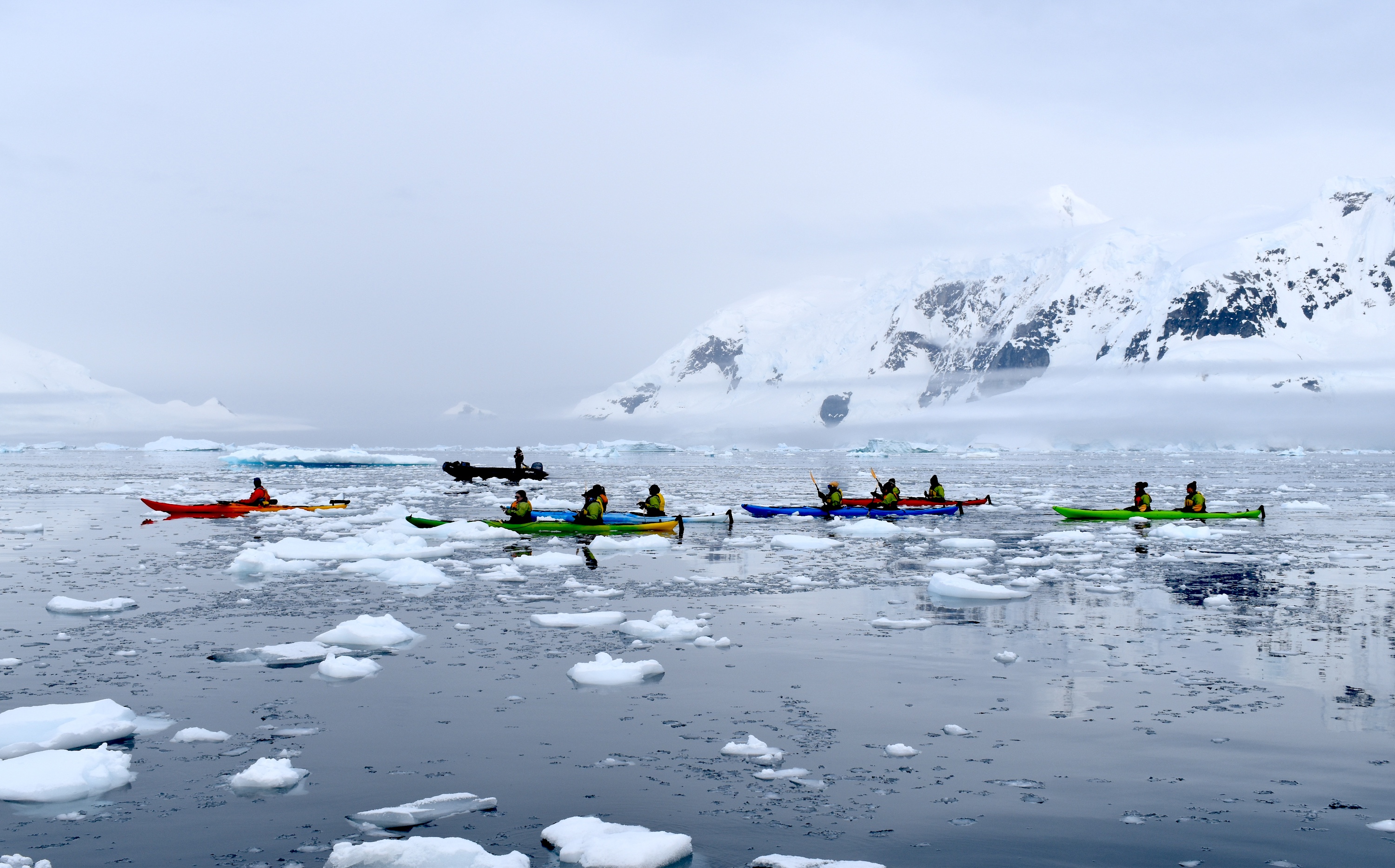 Kayakers paddle among the ice in Antarctica on a calm day 