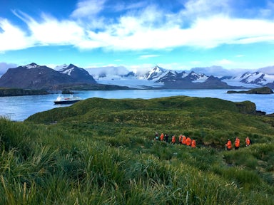 Tourists walk through the tussac grass on Prion Island with the mountains of South Georgia in the background