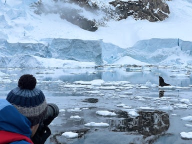 A fur seal at Neko Harbour during an Antarctic expedition on the Ocean Albatros ship