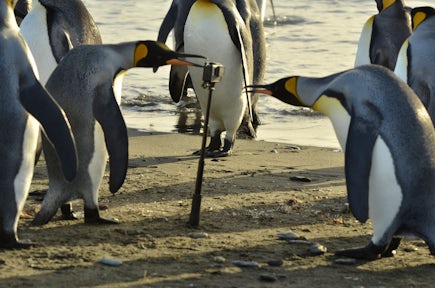 Photography in Antarctica