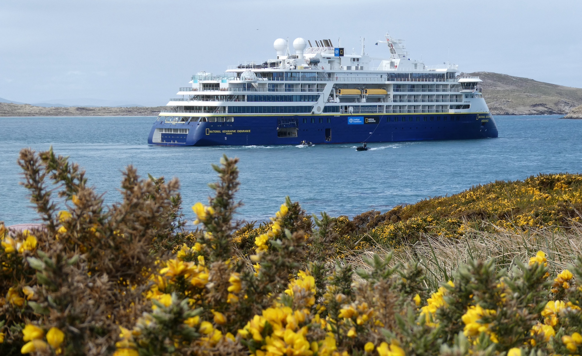 National Geographic Endurance glides past the gorse on Carcass Island