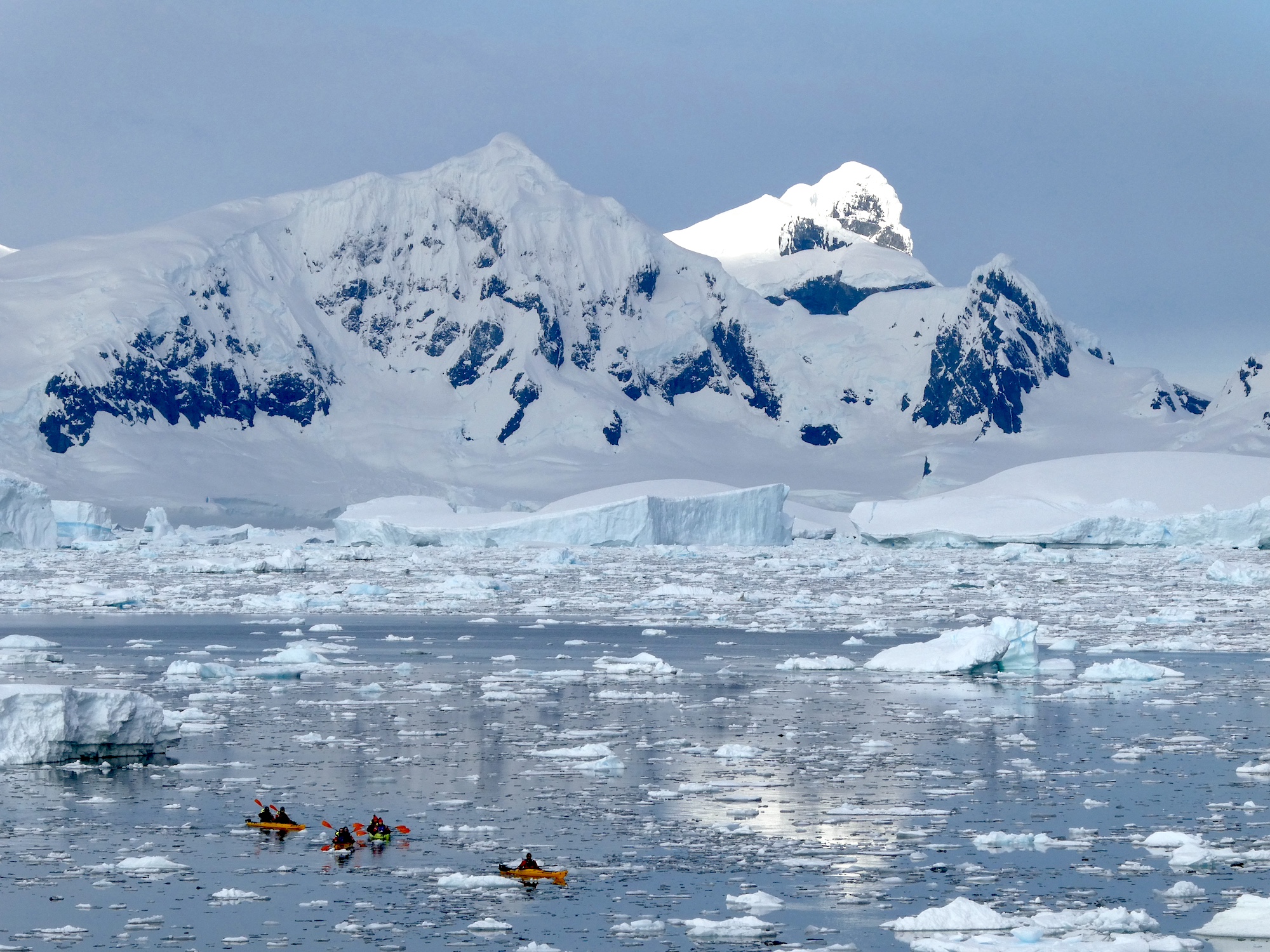Kayakers paddle through icy waters in Antarctica