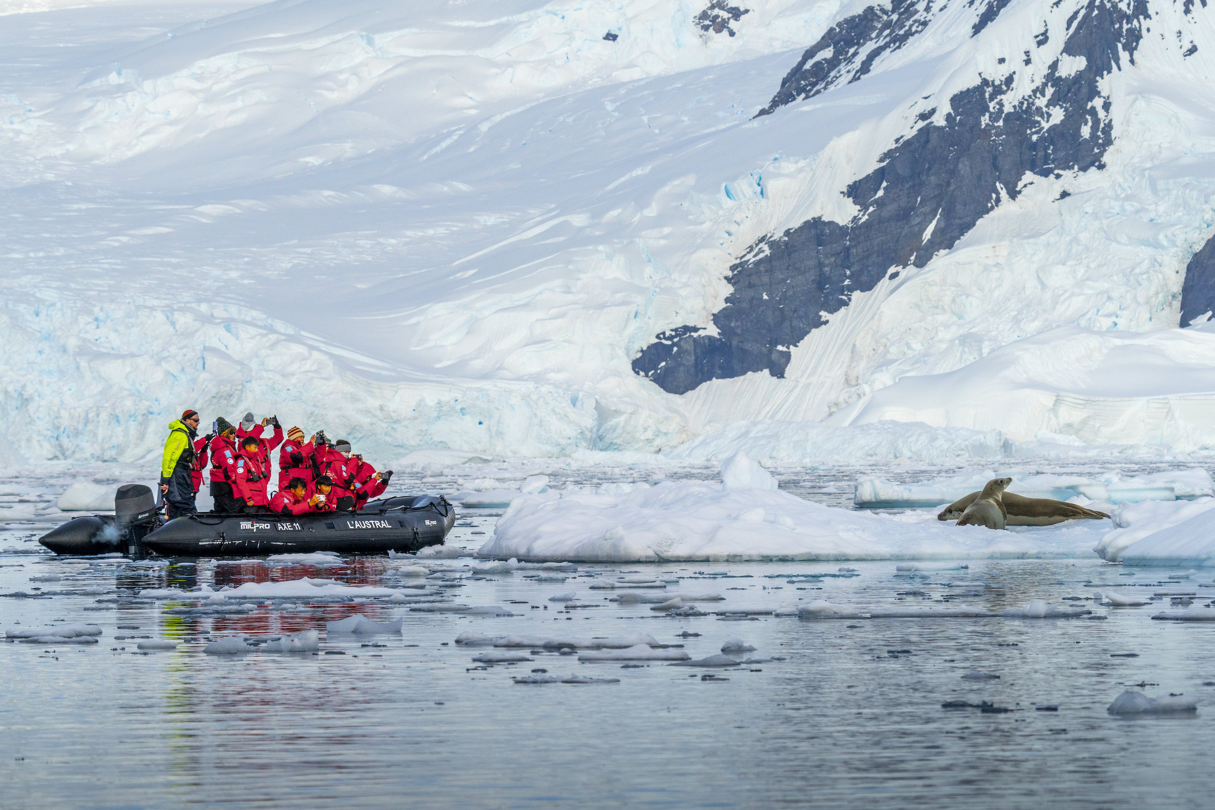 Tourists in a zodiac watching crabeater seals in Antarctic